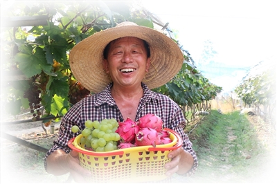 黄山日报：屯溪区：乡村筑梦 沃野生金