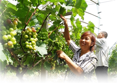 黄山日报：凤霞村：强法治 居更安