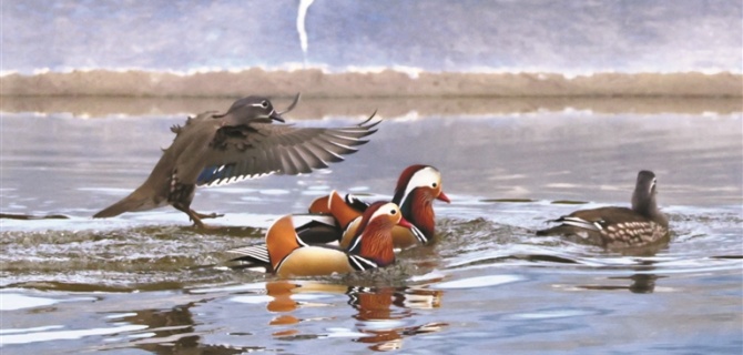 黄山日报：图片新闻