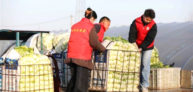黄山日报：“村社直通”助振兴