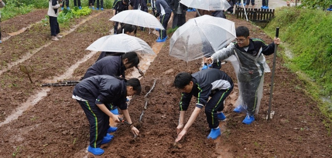 黄山日报：假日研学乐悠悠